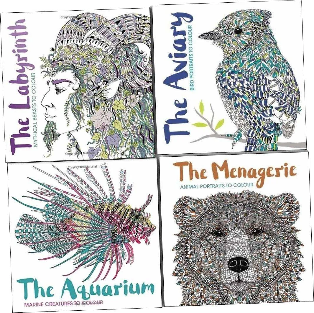 4 Colouring Books Set by Richard Merritt, Claire Scully & Sabine Reinhart - Paperback