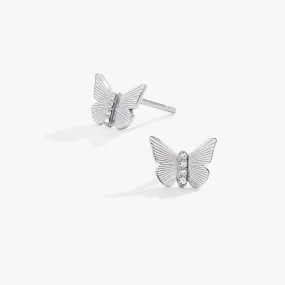 Butterfly   Crystal Stud Earrings