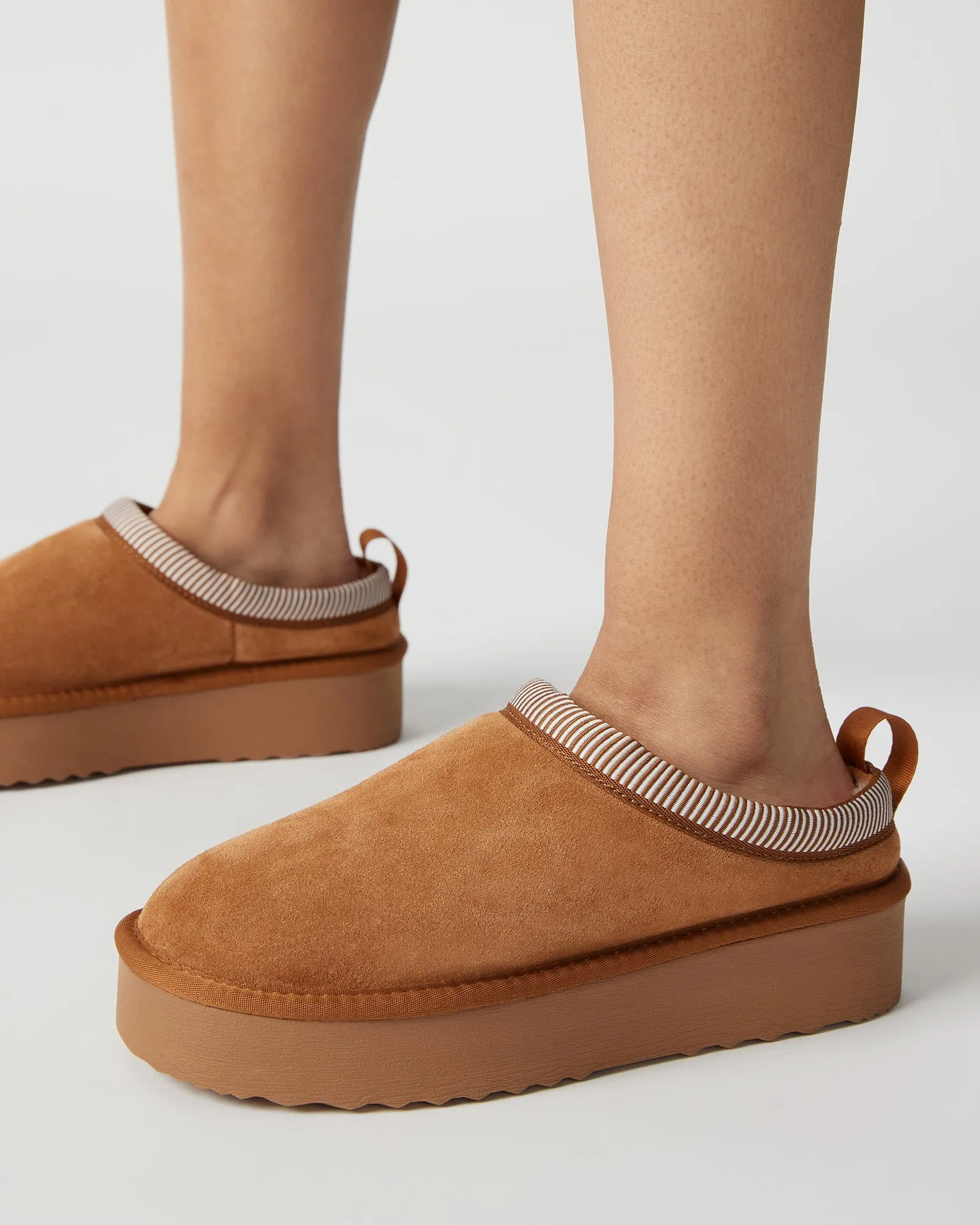 CODIE CHESTNUT SUEDE - SM REBOOTED