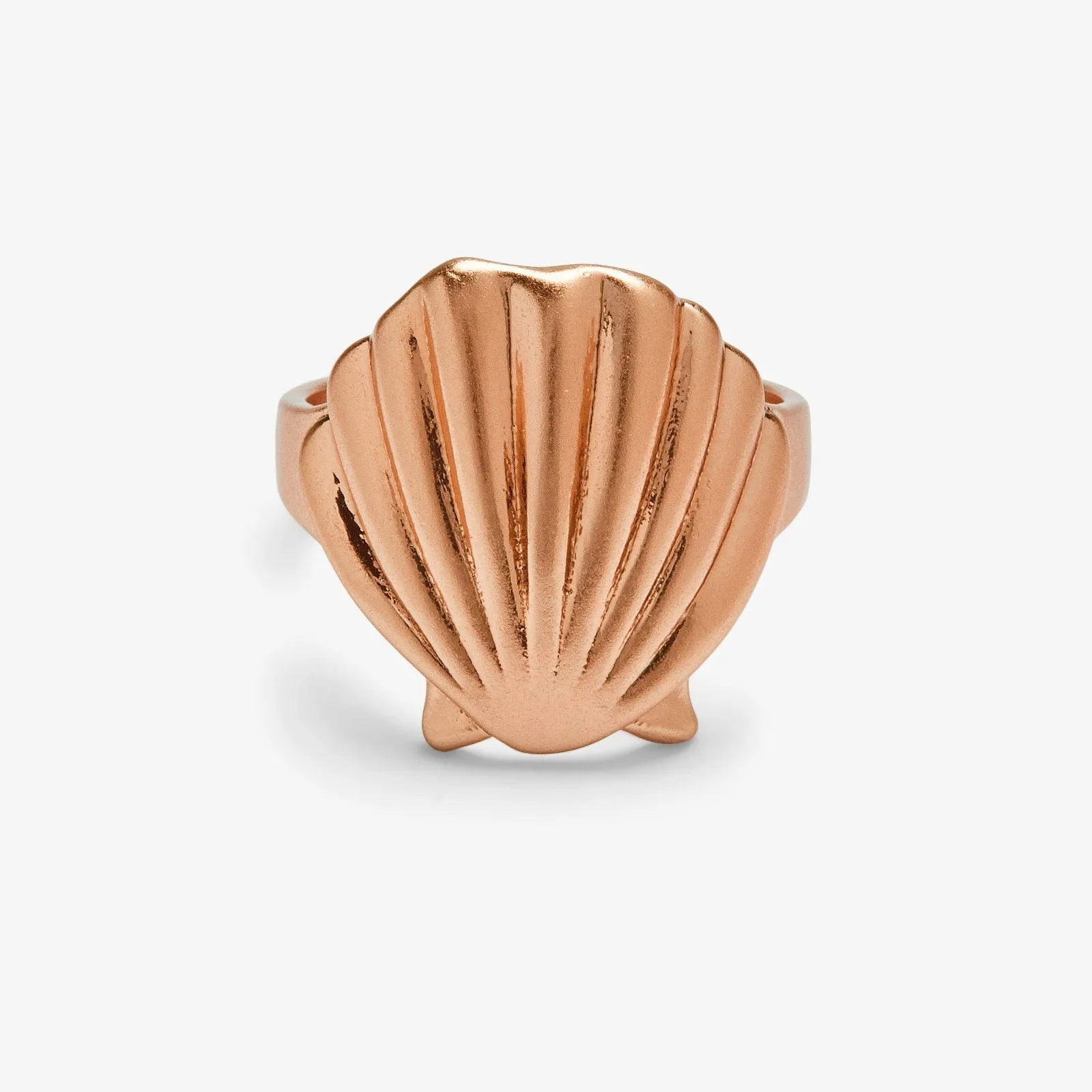 Flat Shell Ring